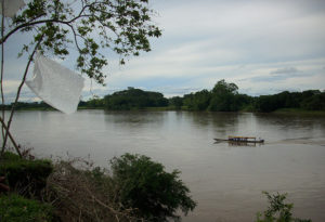 Putumayo Zona de Reserva Campesina Perla Amazónica 