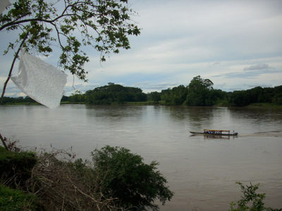 Putumayo Zona de Reserva Campesina Perla Amazónica 